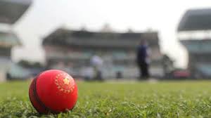 43 ಮಿಲಿಯನ್ ಜನತೆಯಿಂದ ಪಿಂಕ್ ಬಾಲ್ ಟೆಸ್ಟ್ ವೀಕ್ಷಣೆ